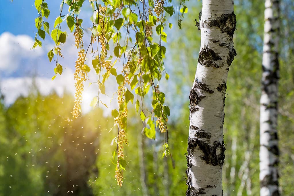 Was tun bei trockenen, brennenden Augen?