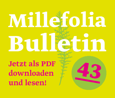 Werbebanner in starken Farben für den PDF-Download des Bulletins 43